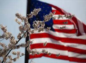usaflag
